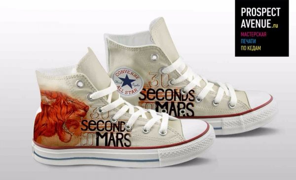 Кеды Converse «Тигр»