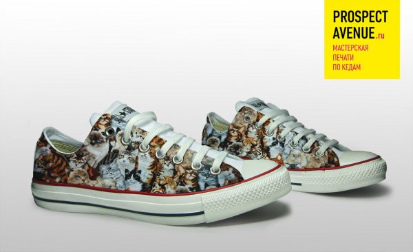 Кеды Converse «Коты и кошки»