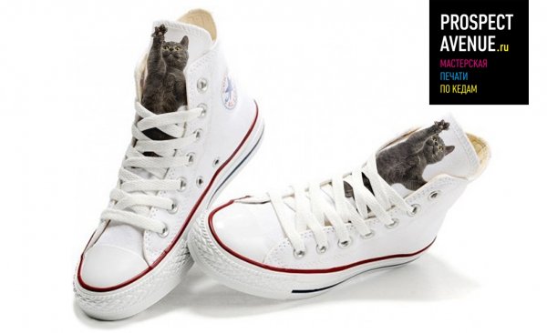 Кеды Converse «Котэ»