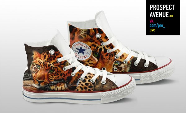 Кеды Converse «Дикий кот»