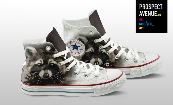 Кеды Converse «Racoon»
