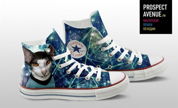 Кеды Converse «Котик Спок»