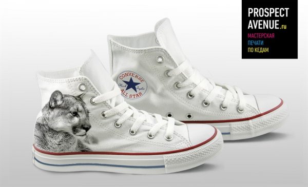 Кеды Converse «Львица»