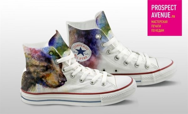 Кеды Converse «Медведь акварель»