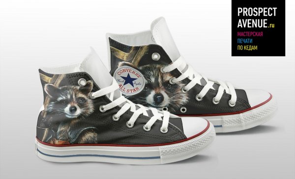 Кеды Converse «Реактивный Енот»