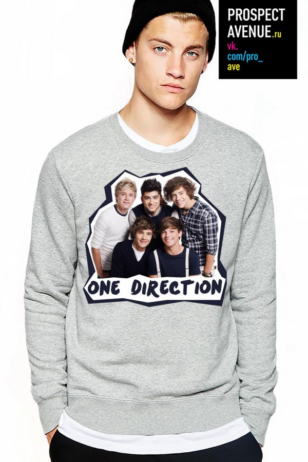 Мужской свитшот «Группа One Direction»