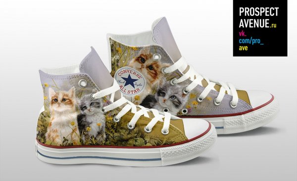 Кеды Converse «Kittens»