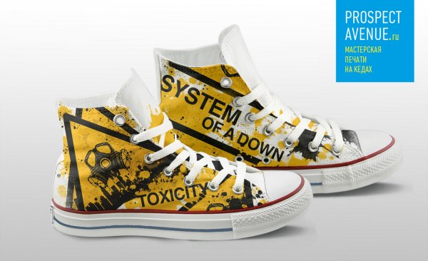Кеды PROSPECT AVENUE «Toxicity»